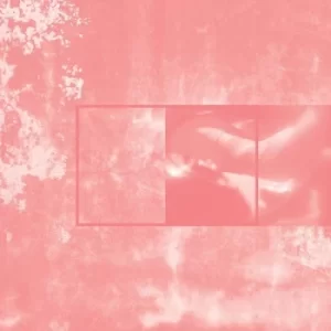Image of Taking Into Account Only a Portion of Your Emotions by Pinkcourtesyphone CD Album