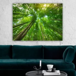 Image of 211812517_70100 Multicolor Decorative Canvas Painting