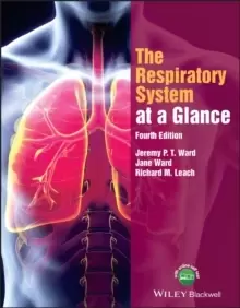 Image of The Respiratory System at a Glance