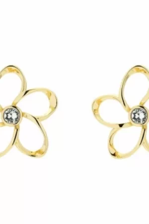 image of Ted Baker Ladies Gold Plated Crystal Blossom Earrings TBJ1425-02-02