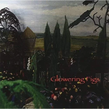 Image of Glowering Figs - Glowering Figs CD