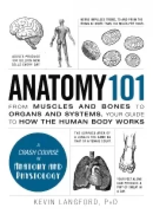 Image of anatomy 101 from muscles and bones to organs and systems your guide to how