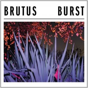 Image of Burst by Brutus CD Album
