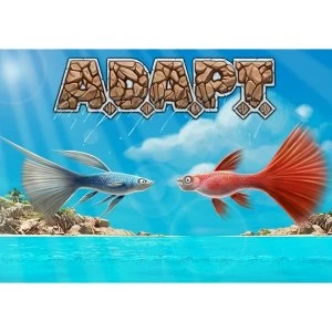 image of A.D.A.P.T. Strategy Dice Game