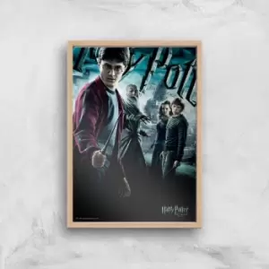 image of Harry Potter and the Half-Blood Prince Giclee Art Print - A2 - Wooden Frame