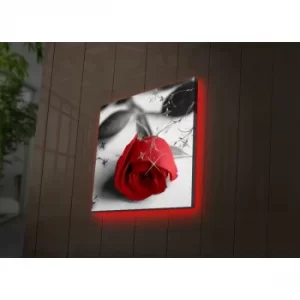 Image of 4040DACT-26 Multicolor Decorative LED Lighted Canvas Painting