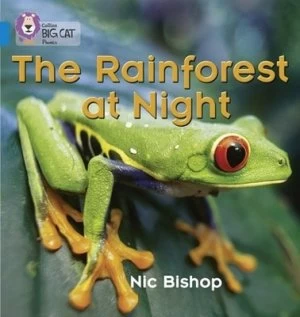 Image of The Rainforest at Night by Nic Bishop Paperback