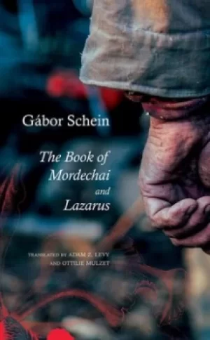 Image of The book of Mordechai by Gbor Schein