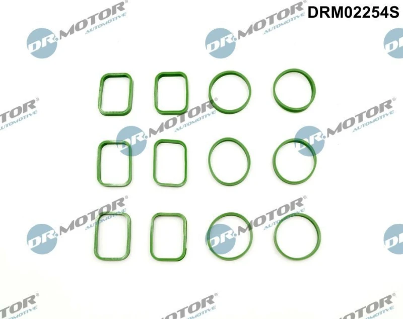 Image of DR.MOTOR AUTOMOTIVE Gasket Set, intake manifold DR.MOTOR AUTOMOTIVE DRM02254S