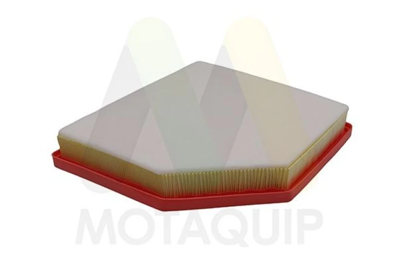 Image of MOTAQUIP Air filter MOTAQUIP LVFA1751