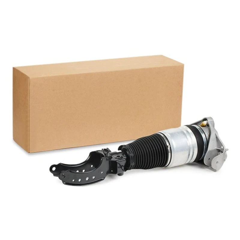 Image of RIDEX Air suspension strut RIDEX 4118A0024