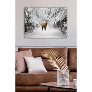 Image of 578006179-5070 Multicolor Decorative Canvas Painting