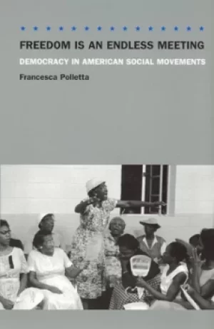 Image of Freedom is an endless meeting by Francesca Polletta