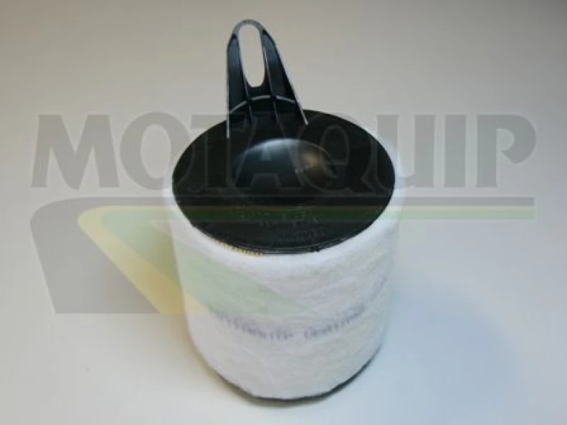 Image of MOTAQUIP Air filter MOTAQUIP VFA1096