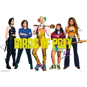 Image of Birds of Prey Group Poster