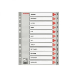 image of Esselte 100114 A4 Plastic Dividers Grey with 12 Monthly Tabs (11 holes)