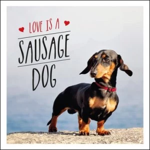 Image of Love Is a Sausage Dog by Charlie Ellis Hardback