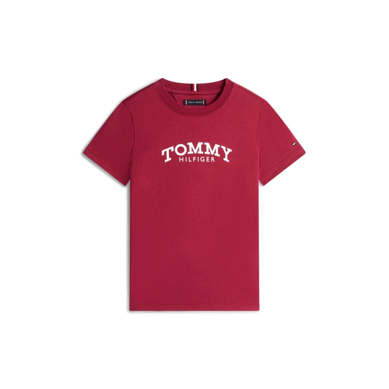 Image of Tommy Hilfiger Kids Print T-Shirt Rich Cherry VK0 male 12Y