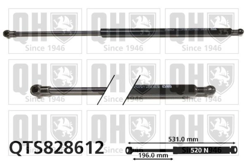 Image of QUINTON HAZELL Tailgate strut QUINTON HAZELL QTS828612