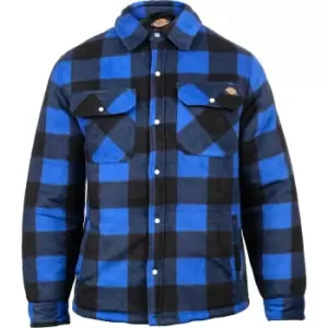 Image of Dickies Portland Shirt Royal Blue EU Size XXL