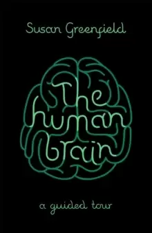 Image of The Human Brain : A Guided Tour