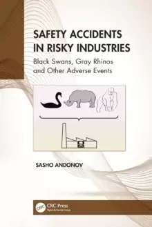 Image of Safety Accidents in Risky Industries : Black Swans, Gray Rhinos and Other Adverse Events