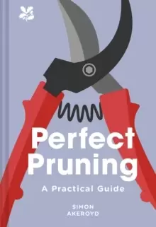 Image of Perfect Pruning