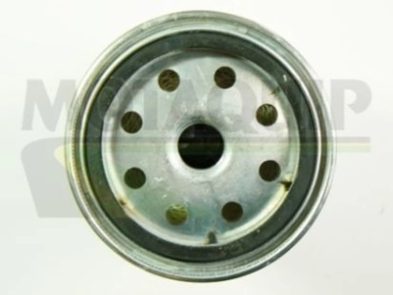 Image of MOTAQUIP Fuel filter MOTAQUIP VFF473