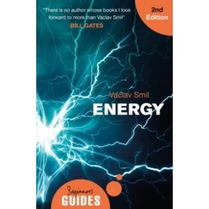 Image of Energy : A Beginner's Guide
