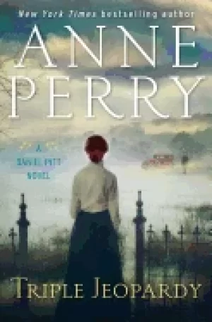 Image of triple jeopardy a daniel pitt novel
