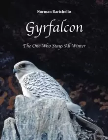 Image of Gyrfalcon : The One Who Stays All Winter