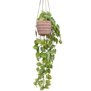 Image of Faux Trailing Foliage in Hanging Terracotta Ceramic Pot in Gift Box