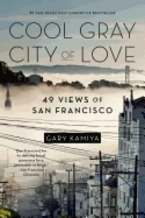 Image of cool gray city of love 49 views of san francisco