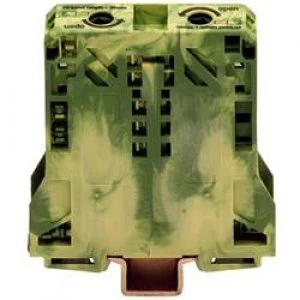 Image of PG terminal 20 mm Pull spring Configuration Terre Green