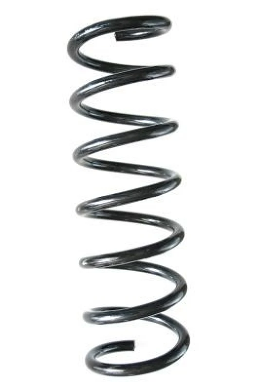 Image of Coil spring SPIDAN 88422