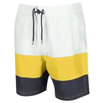Image of Regatta Bratchmar VI Swimming Shorts - White/Grapfr