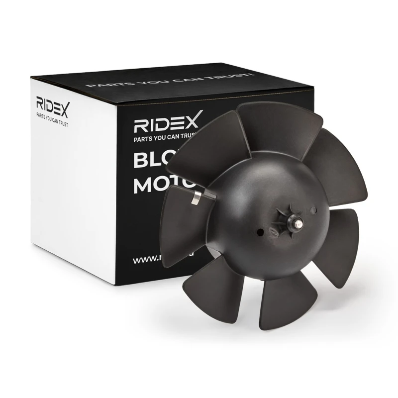 Image of Blower motor RIDEX 2669I0128