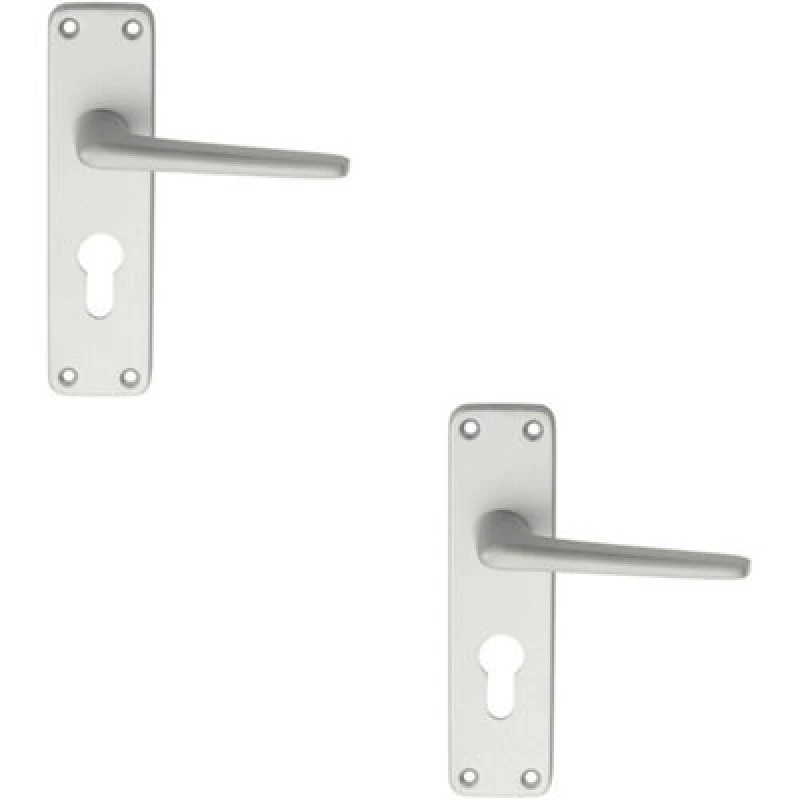 Image of Loops 2x PAIR Straight Tapered Lever on Euro Lock Backplate 152 x 41mm Satin Aluminium Multi