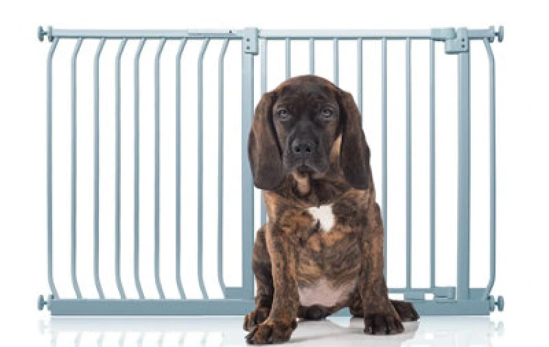 Image of Bettacare Elite Pressure Dog Gate, 134Cm - 143Cm, Matt Grey, Pressure Fit Pet Gate For Dog And Puppy