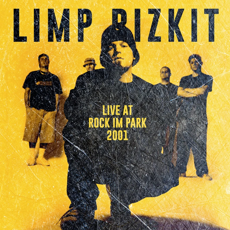 Image of Limp Bizkit Rock im Park 2001 LP multicolor Onesize Unisex