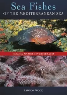 Image of Sea Fishes Of The Mediterranean Including Marine Invertebrates