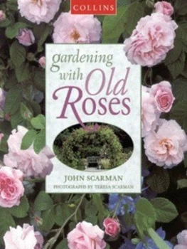 Image of Gardening with Old Roses by John Scarman Paperback