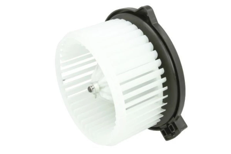 Image of THERMOTEC Blower motor THERMOTEC DD2001TT