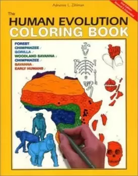 Image of The human evolution coloring book by Adrienne L Zihlman
