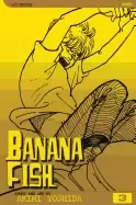 Image of banana fish vol 3