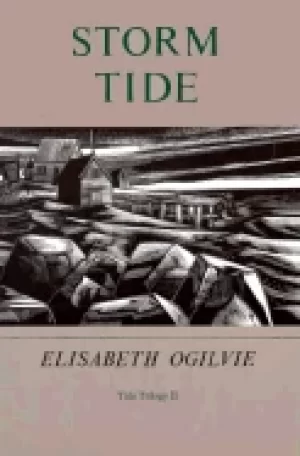 Image of storm tide