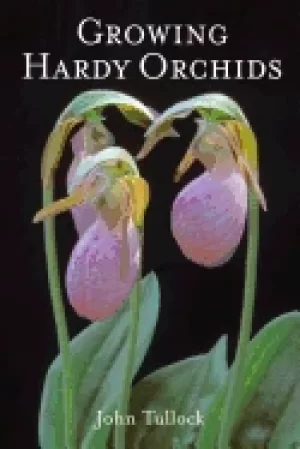 Image of growing hardy orchids