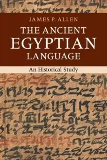 Image of The Ancient Egyptian Language : An Historical Study
