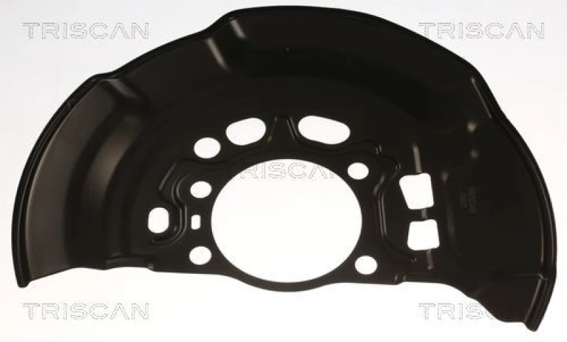Image of TRISCAN Brake disc backing plate TRISCAN 8125 13124
