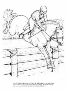 Image of Big Book of Horses to Color